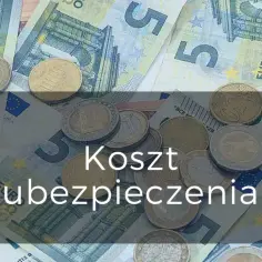 Ile kosztuje ubezpieczenie należności? Kluczowe czynniki wpływające na jego cenę