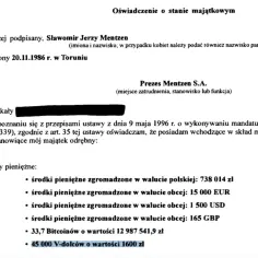 Sławomir Mentzen - Jak wygląda majątek i oświadczenie majątkowe?