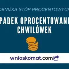 Chwilówka: jakie oprocentowanie? Porównaj koszty i regulacje