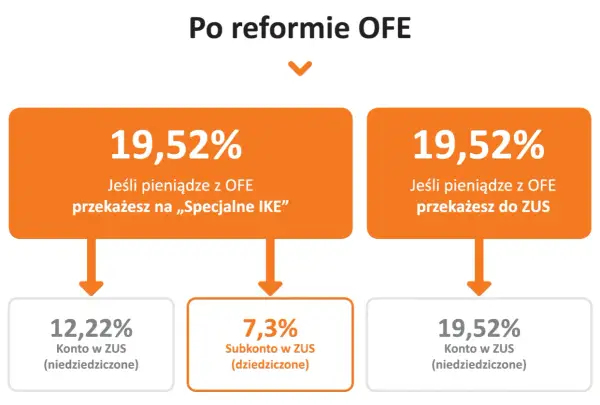 Fundusze emerytalne w Polsce: Kompletny przewodnik po rodzajach, składkach i zabezpieczeniu emerytalnym