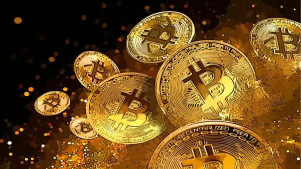 Hossa kryptowaluty co to? Jakie ma znaczenie dla inwestorów?